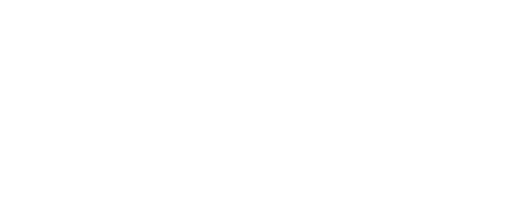 BMG logistics logo